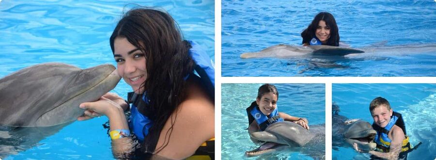 Punta Cana: Dolphin Explorer Park Entry, Swim, or Encounter - The one-hour dolphin session