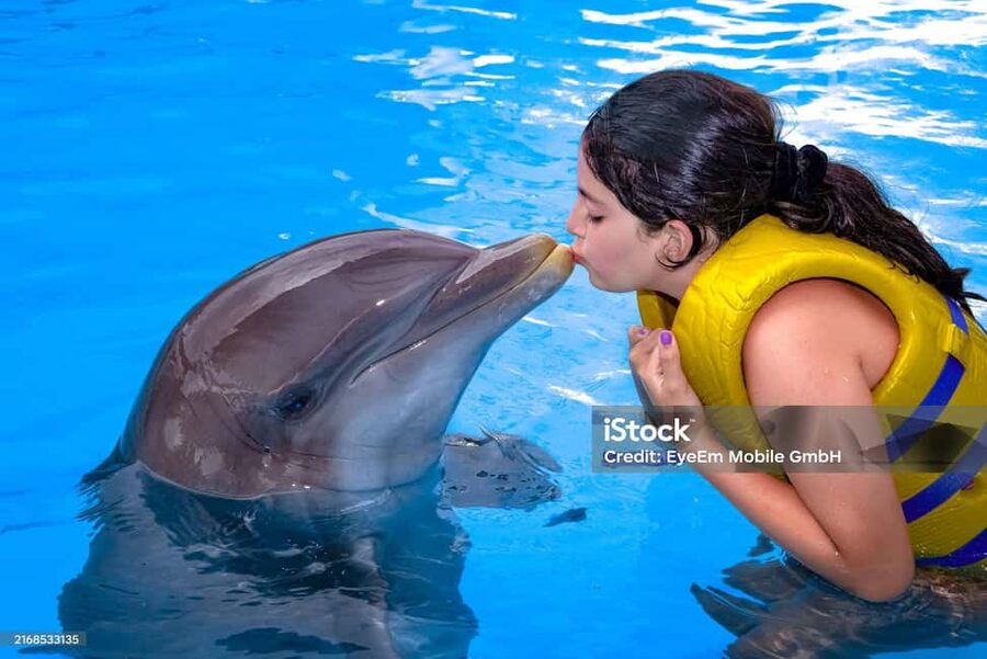 Punta Cana: Dolphin Explorer Park Entry, Swim, or Encounter - What the park facilities mean for your day