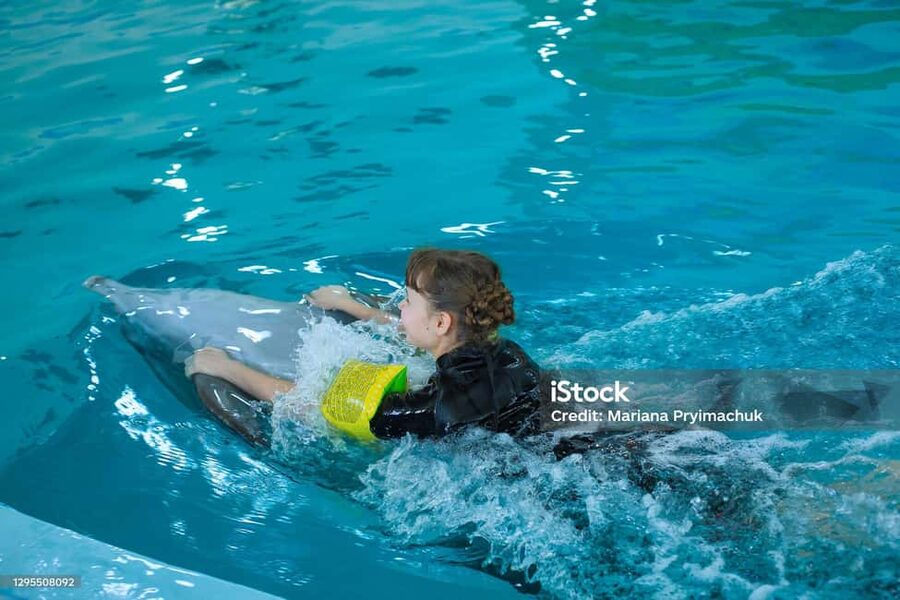 Punta Cana: Dolphin Explorer Park Entry, Swim, or Encounter - Transport from Punta Cana and Bávaro