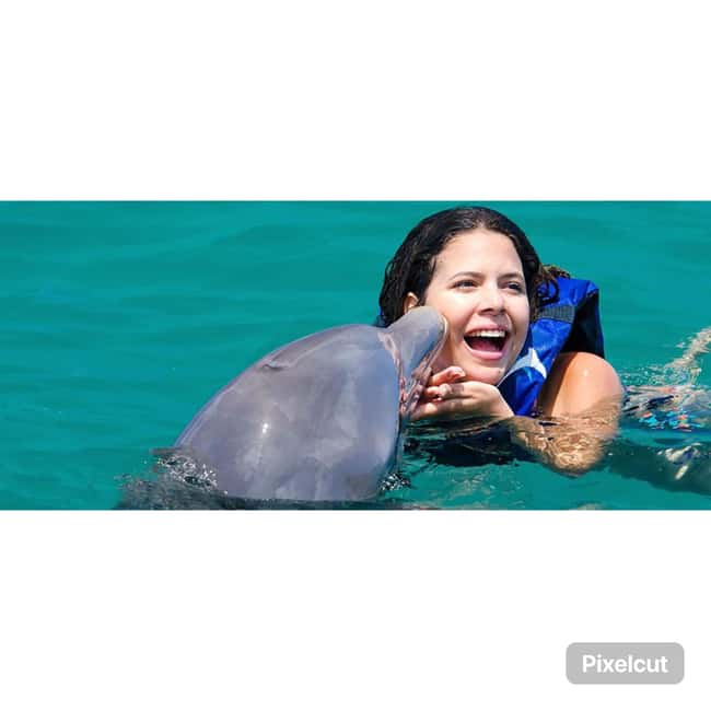 Punta Cana: Dolphin Explorer Park Entry, Swim, or Encounter - Choosing between an encounter, swim, and games