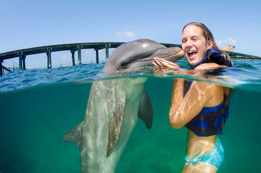 Punta Cana: Dolphin Explorer Swims and Interactions - Funtastic Encounter, the easier introduction