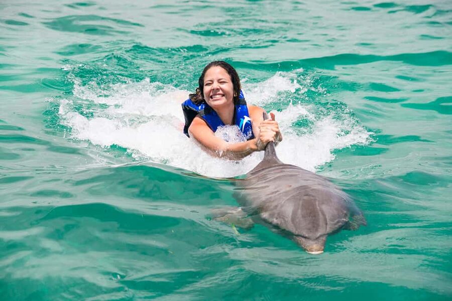Punta Cana: Dolphin Explorer Swims and Interactions - Explorer Swim, the best middle ground