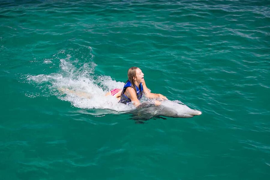 Punta Cana: Dolphin Explorer Swims and Interactions - Pickup, arrival, and the practical details
