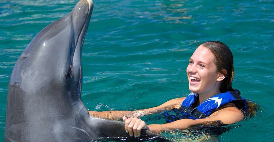Punta Cana: Dolphin Explorer Swims and Interactions - The real price is more than $120
