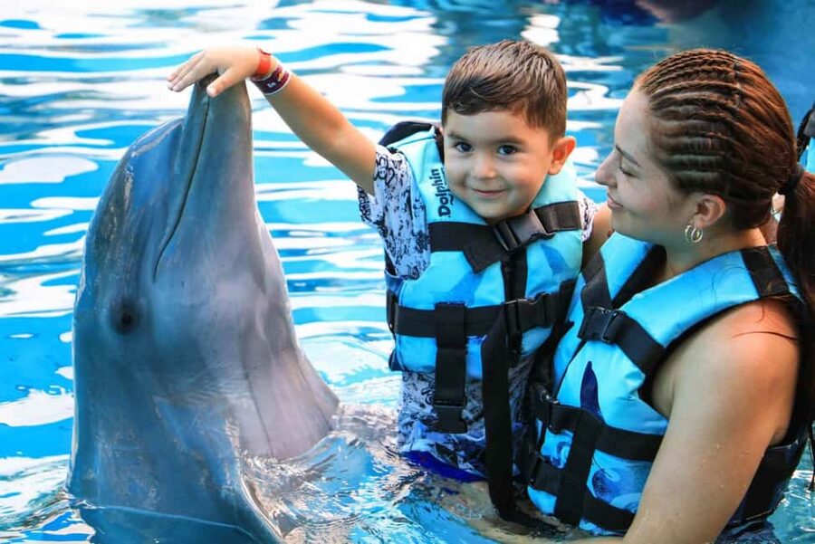 Punta Cana: Dolphin Interaction Experience & Hotel Transfers - Key points to know before booking