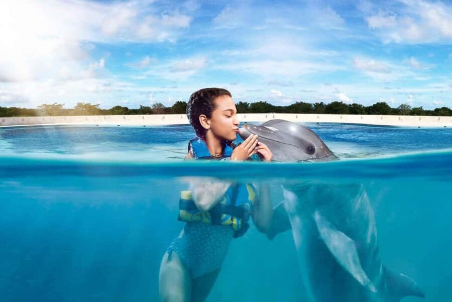 Punta Cana: Dolphin Interaction Experience & Hotel Transfers - Choosing among the three dolphin programs