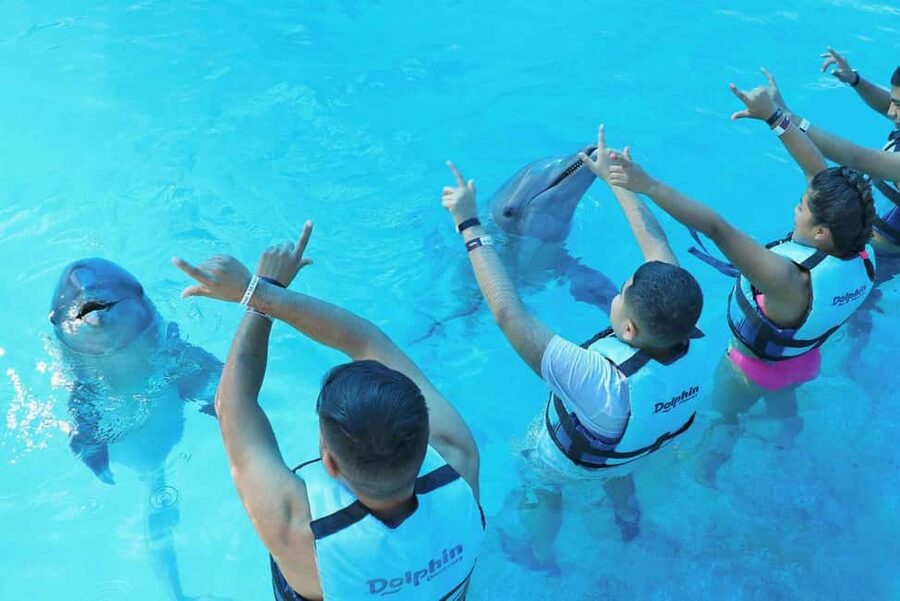 Punta Cana: Dolphin Interaction Experience & Hotel Transfers - What to bring and what to leave behind