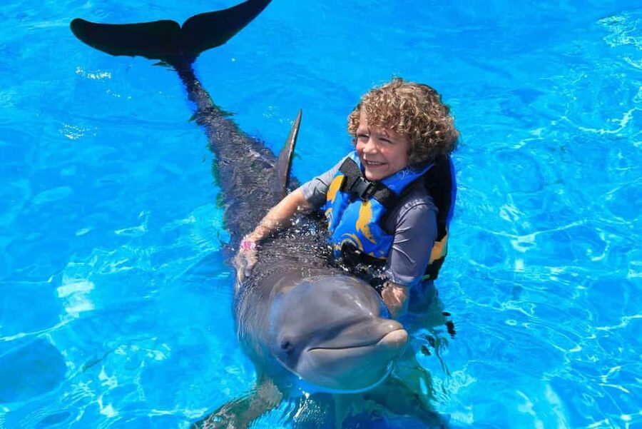 Punta Cana: Dolphin Interaction Experience & Hotel Transfers - What the four-hour visit includes