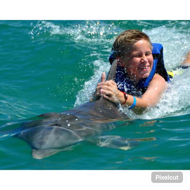 Punta Cana: Dolphin Park Entry and Swim with Dolphins - Meeting the Dolphins in a One-Hour Punta Cana Visit