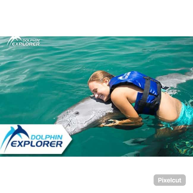 Punta Cana: Dolphin Park Entry and Swim with Dolphins - What Happens Before You Enter the Water