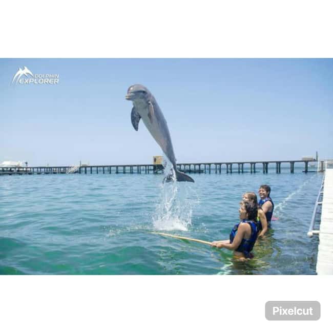 Punta Cana: Dolphin Park Entry and Swim with Dolphins - Facilities, Accessibility, and Personal Comfort