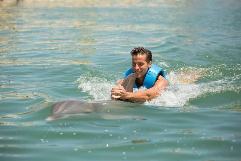 Punta Cancun: Swim with dolphins Interax - What the 45-minute Punta Cancun session is really like