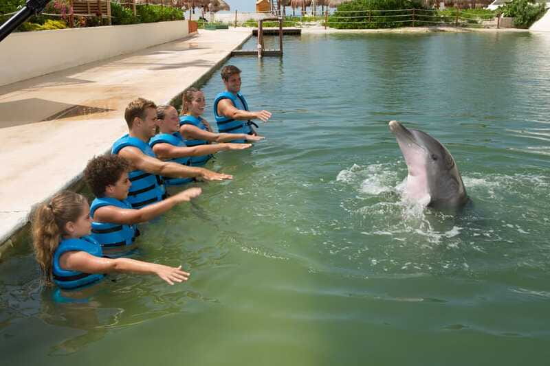 Punta Cancun: Swim with dolphins Interax - Should you book Punta Cancun: Swim with Dolphins Interax?