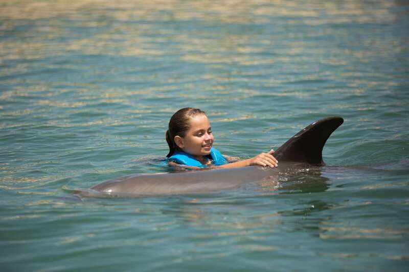 Punta Cancun: Swim with dolphins Interax - The group size and what it means for your time