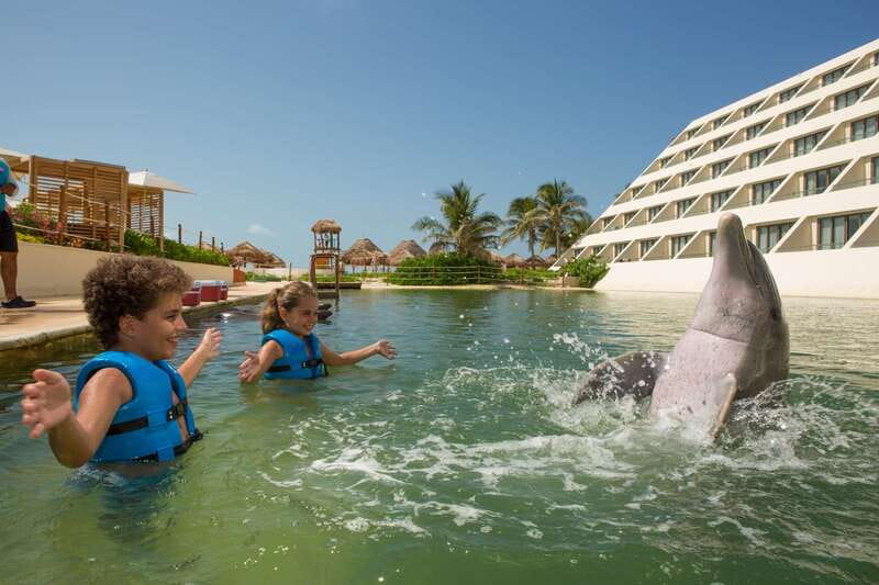 Punta Cancun: Swim with dolphins Interax - Is $138 a fair price?