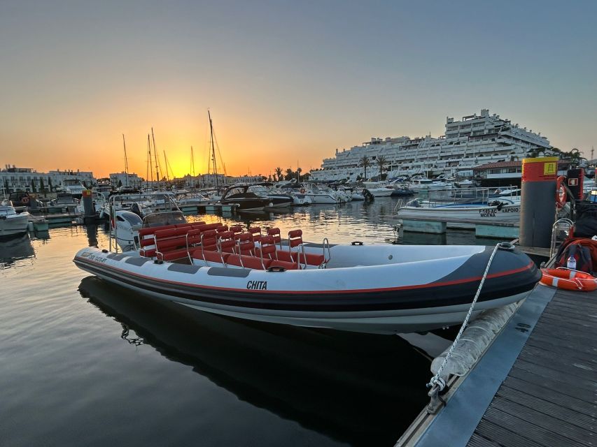 Quarteira: Algarve Coast, Caves and Dolphin Watching Cruise - Looking for dolphins in their natural habitat