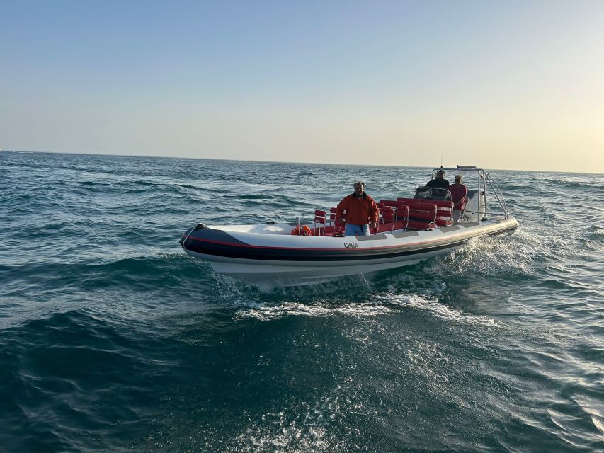 Quarteira: Algarve Coast, Caves and Dolphin Watching Cruise - What the guide adds to the cruise