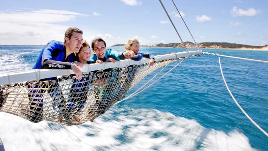 Queenscliff Harbour: 3.5hr Seal & Dolphin Snorkelling Tour - Why the seal swim is the real prize