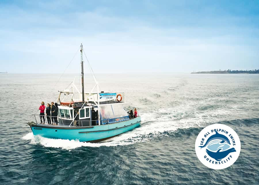 Queenscliff Harbour: 3.5hr Seal & Dolphin Snorkelling Tour - The boat ride is more than transport