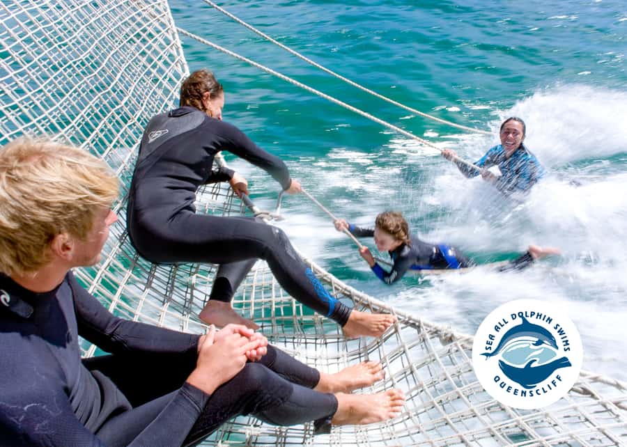 Queenscliff Harbour: 3.5hr Seal & Dolphin Snorkelling Tour - Price and practical value at $148