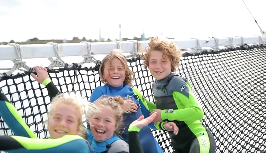 Queenscliff Harbour: 3.5hr Seal & Dolphin Snorkelling Tour - Who should book this experience