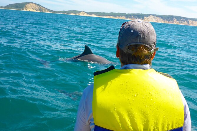 Rainbow Beach: Dolphin & Wildlife Ocean Kayak & Beach 4WD Tour - The best parts of the outing