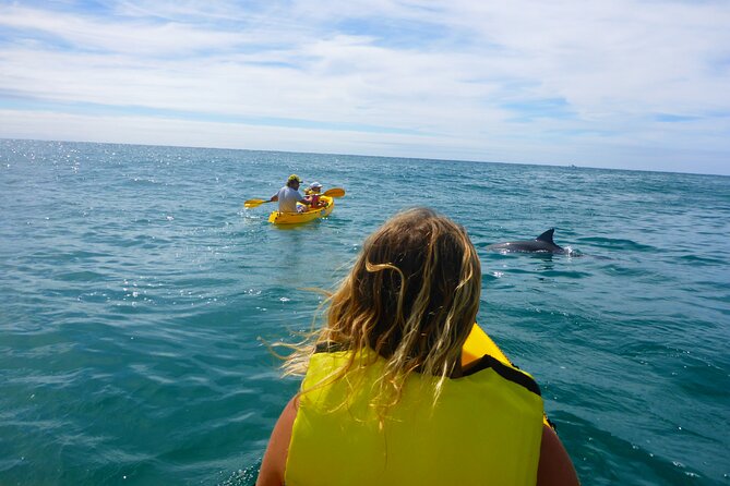 Rainbow Beach: Dolphin & Wildlife Ocean Kayak & Beach 4WD Tour - Watching for dolphins, whales, turtles, and rays