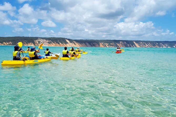 Rainbow Beach: Dolphin & Wildlife Ocean Kayak & Beach 4WD Tour - Weather, timing, and practical planning