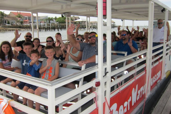 Red Boat Tours - Dolphin Odyssey and Sightseeing Tour - Looking for dolphins along Salt Run