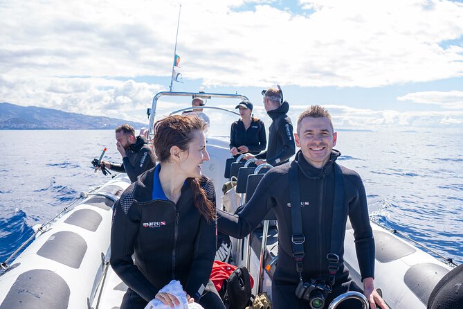 Responsible Whales and/or Dolphins Watching Tour - What the $59.28 price buys you