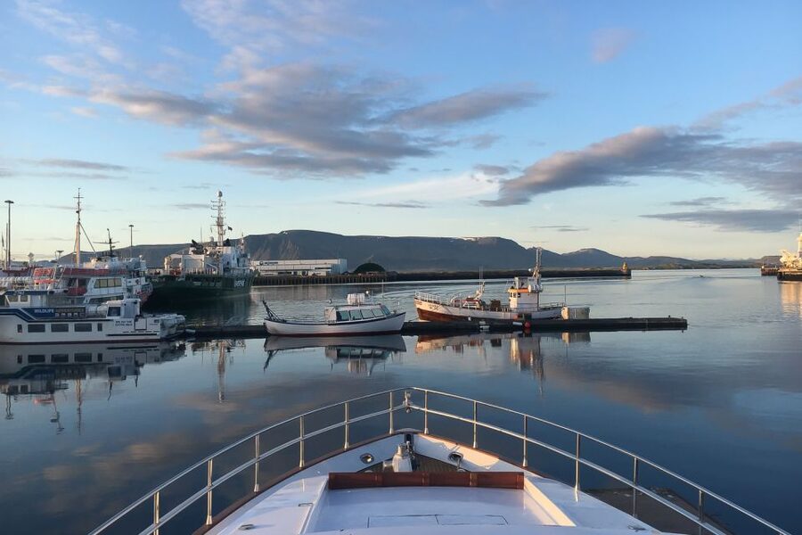 Reykjavik: Whale Watching and Dolphin Watching Yacht Cruise - Sailing out from Reykjavik’s Old Harbor