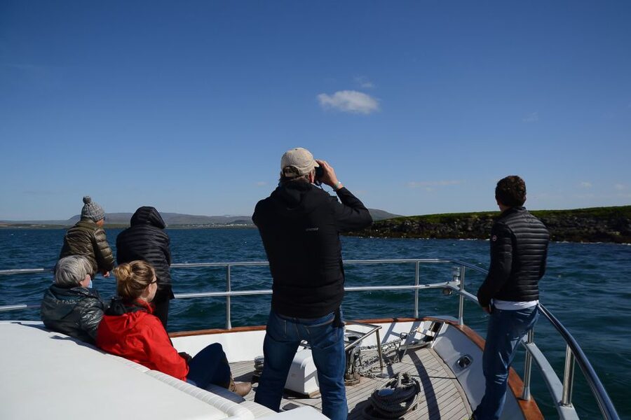 Reykjavik: Whale Watching and Dolphin Watching Yacht Cruise - Is the $106 price fair?