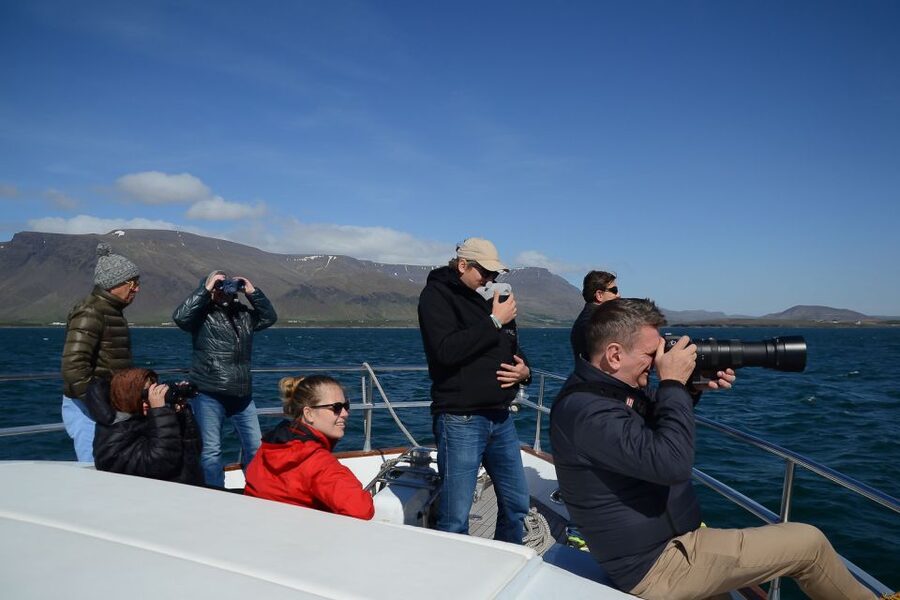 Reykjavik: Whale Watching and Dolphin Watching Yacht Cruise - Who will enjoy this yacht cruise most?
