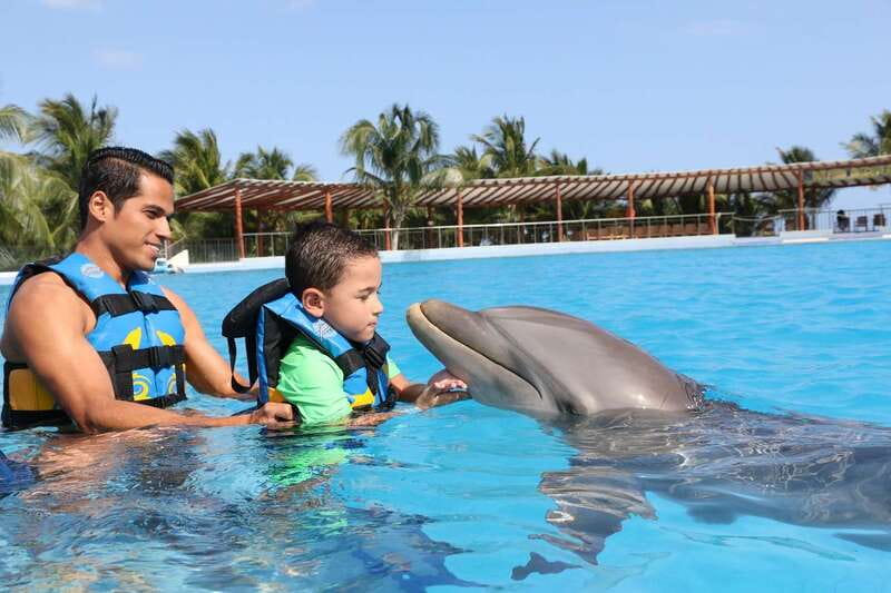 Riviera Maya: Dolphin Encounter with Beach Club Access - Meeting the Dolphins at Dolphin Discovery Maroma