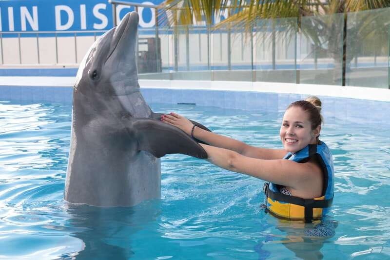 Riviera Maya: Dolphin Encounter with Beach Club Access - Should You Book This Dolphin and Beach Day?