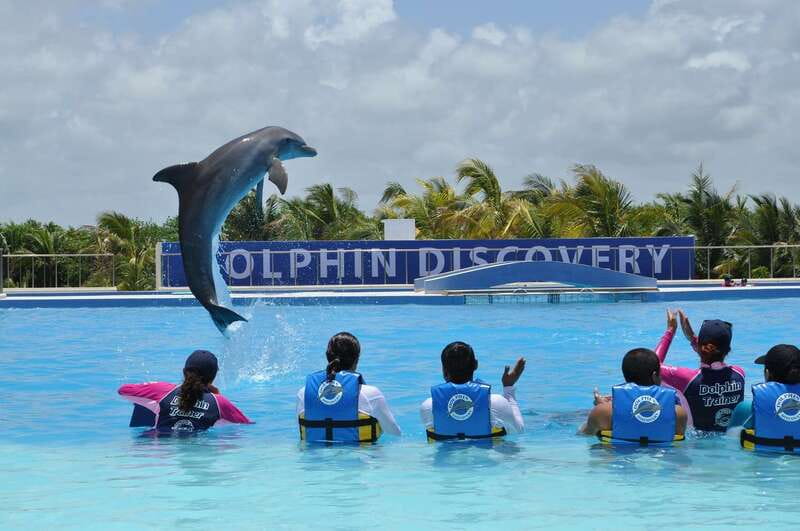 Riviera Maya: Dolphin Encounter with Beach Club Access - The Briefing and the 30 Minutes in the Water
