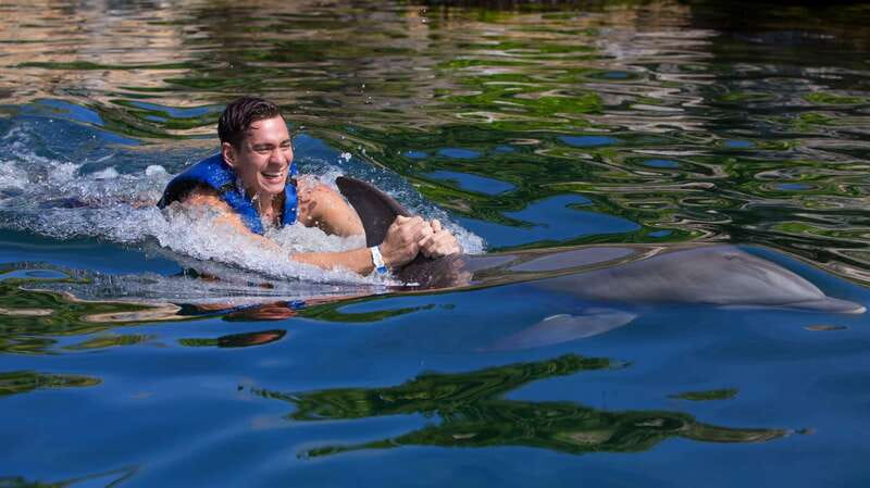Riviera Maya: Swim with dolphins Interax - Key points at a glance