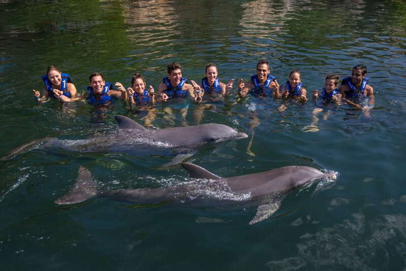 Riviera Maya: Swim with dolphins Interax - Booking details that affect your decision