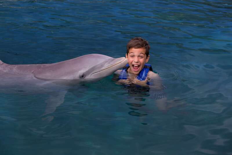 Riviera Maya: Swim with dolphins Interax - What the 45-minute dolphin session feels like