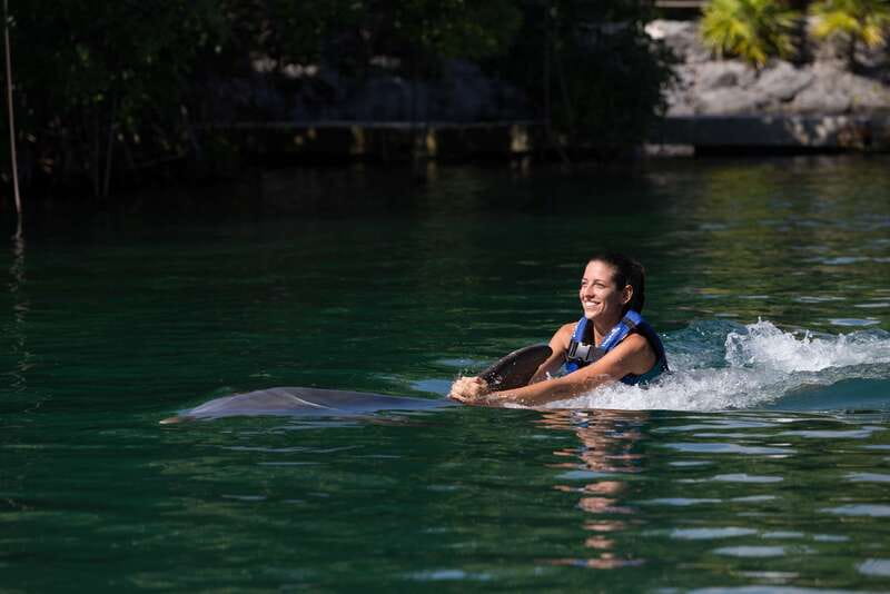 Riviera Maya: Swim with dolphins Interax - Learning about the dolphin before touching it