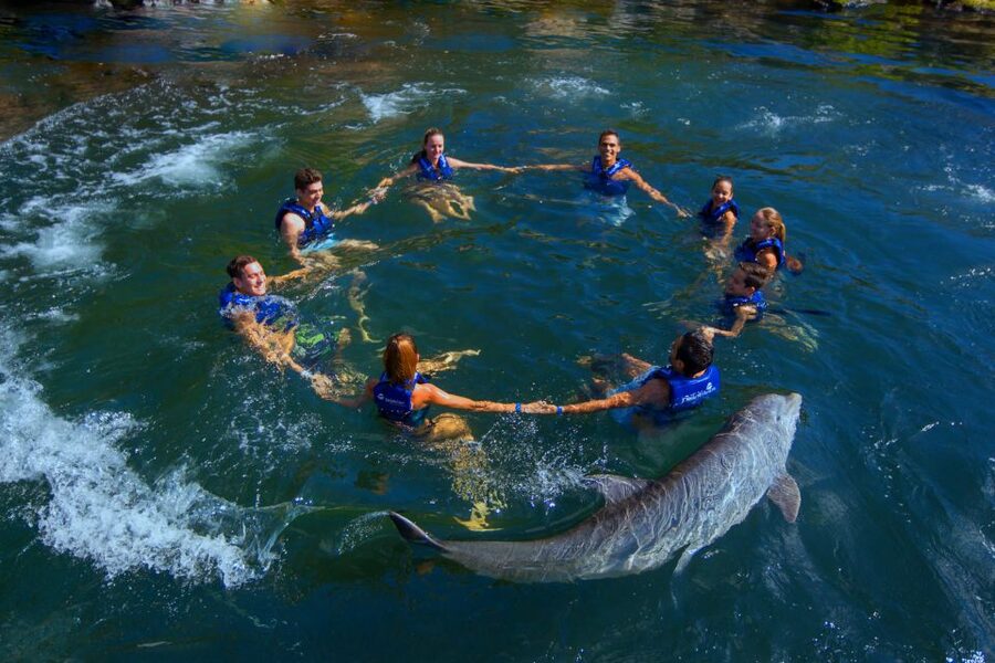 Riviera Maya: Swim with dolphins Interax - What the $138 price really covers