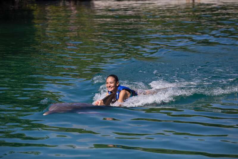Riviera Maya: Swim with dolphins Interax - Finding the habitat beside Xcaret