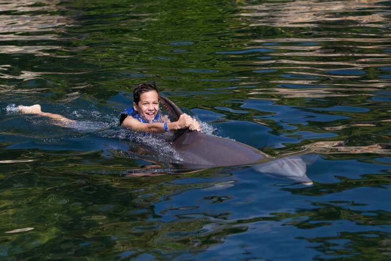 Riviera Maya: Swim with dolphins Interax - Staff, service, and the human side of the visit