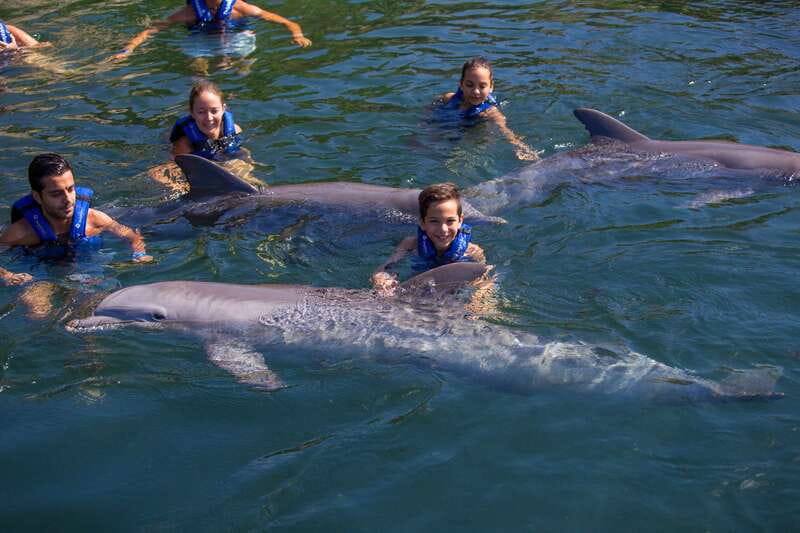 Riviera Maya: Swim with dolphins Interax - Who will enjoy this experience most