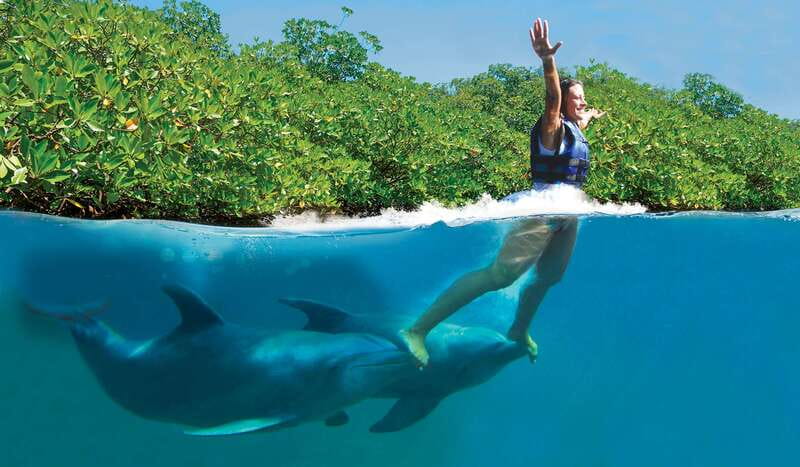 Riviera Maya: Swim with dolphins Primax - A small dolphin group beside Xcaret