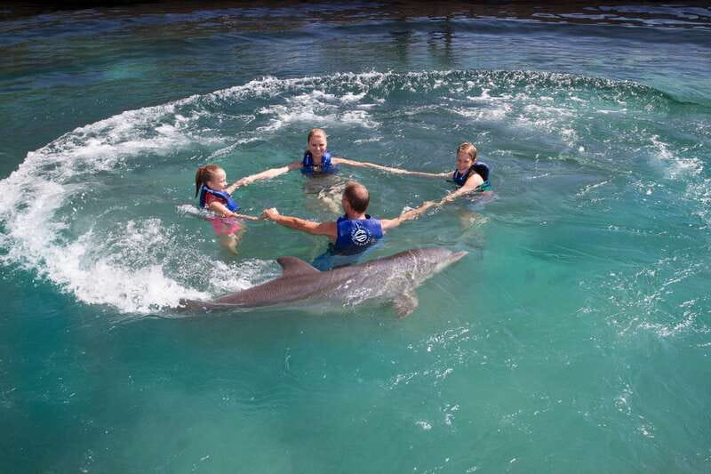 Riviera Maya: Swim with dolphins Primax - What the $197 price really includes