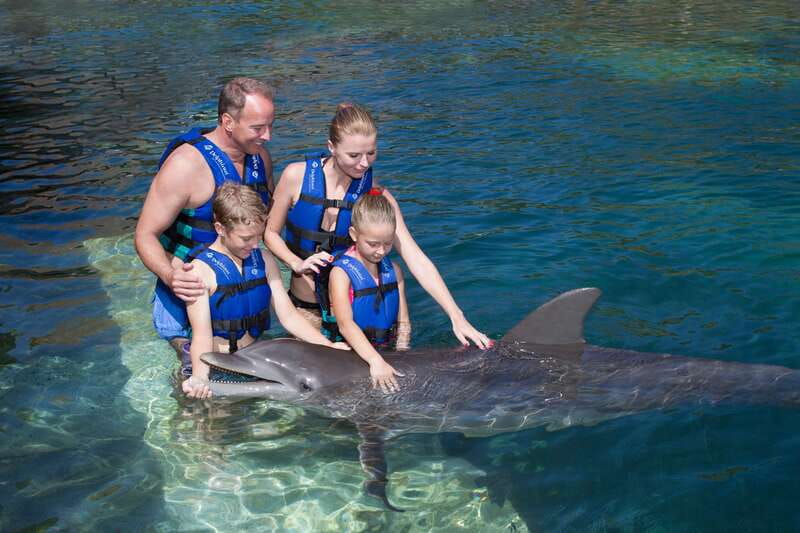 Riviera Maya: Swim with dolphins Primax - Timing and practical planning