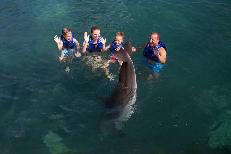 Riviera Maya: Swim with dolphins Primax - Who will enjoy Primax most