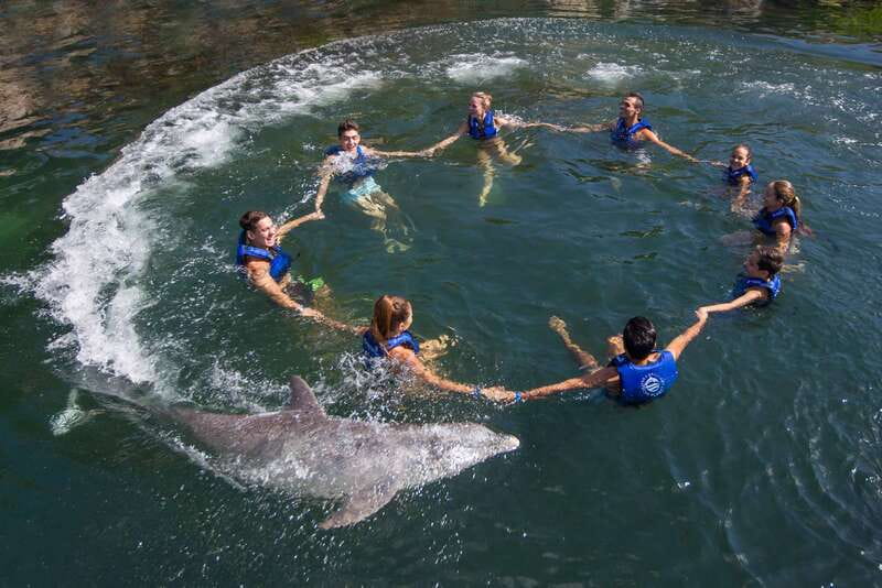 Riviera Maya: Swimming Experience with Dolphins - Meeting the Dolphins Beside Xcaret Park