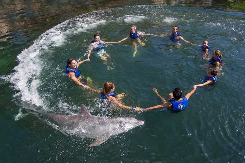 Riviera Maya: Swimming Experience with Dolphins - The Real Value of a $127 Encounter
